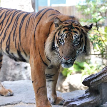 神戸どうぶつ王国に投稿された画像（2020/7/28）