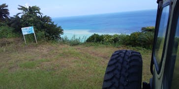 奄美ナイトツアーサービスに投稿された画像（2020/7/28）