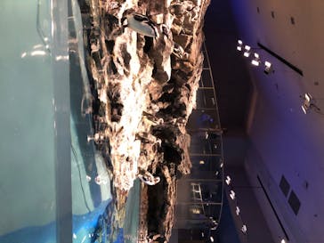 すみだ水族館に投稿された画像（2020/7/28）