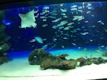 サンシャイン水族館に投稿された画像（2020/7/28）