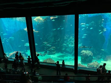 マリンワールド海の中道に投稿された画像（2020/7/28）