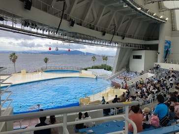 マリンワールド海の中道に投稿された画像（2020/7/28）