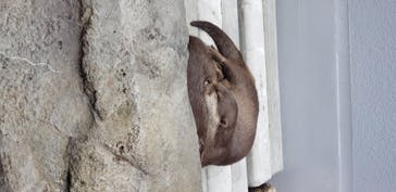 四国水族館に投稿された画像（2020/7/28）