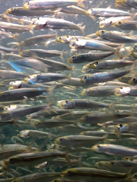 株式会社Gに投稿された画像（2020/7/28）