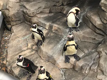 仙台うみの杜水族館に投稿された画像（2020/7/28）