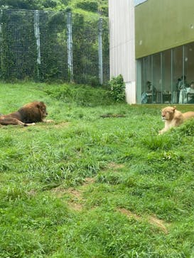 伊豆アニマルキングダムに投稿された画像（2020/7/28）