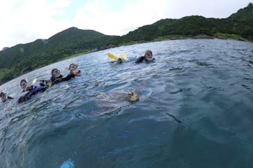 屋久島ガイドクラブに投稿された画像（2020/7/26）