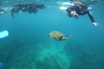 屋久島ガイドクラブに投稿された画像（2020/7/26）