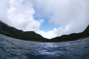 屋久島ガイドクラブに投稿された画像（2020/7/26）