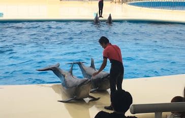 マリンワールド海の中道に投稿された画像（2020/7/28）