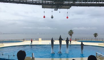 マリンワールド海の中道に投稿された画像（2020/7/28）