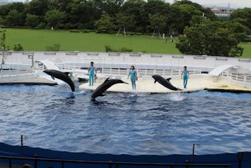 京都水族館に投稿された画像（2020/7/28）