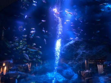すみだ水族館に投稿された画像（2020/7/28）