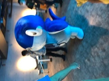 四国水族館に投稿された画像（2020/7/28）