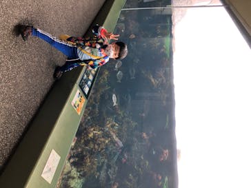 アクアワールド茨城県大洗水族館に投稿された画像（2020/7/29）