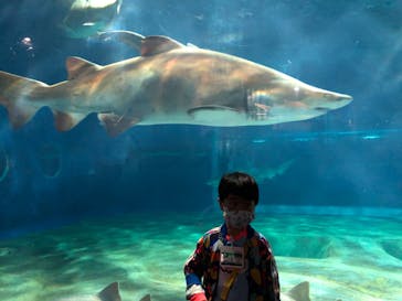 アクアワールド茨城県大洗水族館に投稿された画像（2020/7/29）