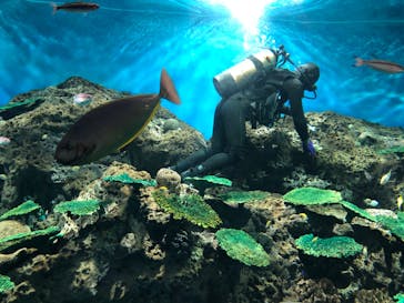 アクアワールド茨城県大洗水族館に投稿された画像（2020/7/29）