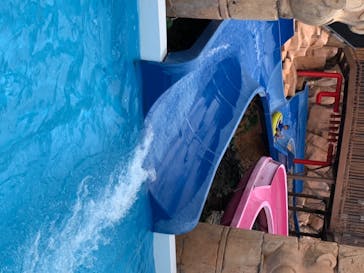 日本モンキーパークに投稿された画像（2020/7/29）