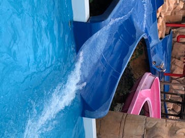 日本モンキーパークに投稿された画像（2020/7/29）