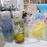 ずこうしつ〜sugamo〜に投稿された画像（2020/7/29）