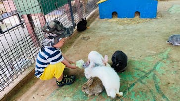 しろとり動物園に投稿された画像（2020/7/29）