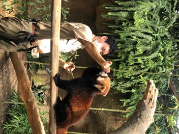 神戸どうぶつ王国に投稿された画像（2020/7/29）