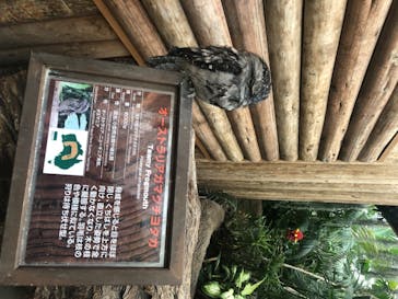 神戸どうぶつ王国に投稿された画像（2020/7/29）