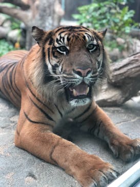 神戸どうぶつ王国に投稿された画像（2020/7/29）