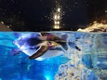 すみだ水族館に投稿された画像（2020/7/29）