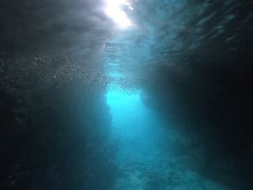 DIVING-SHOP SUNSに投稿された画像（2020/7/29）