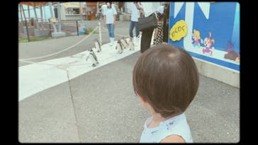 越前松島水族館に投稿された画像（2020/7/29）