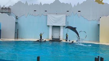 株式会社Gに投稿された画像（2020/7/29）