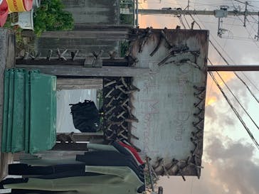 沖縄ダイビング ピンクマーメイドに投稿された画像（2020/7/29）