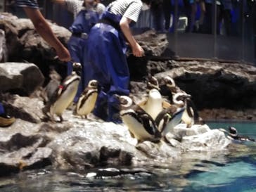 すみだ水族館に投稿された画像（2020/7/30）