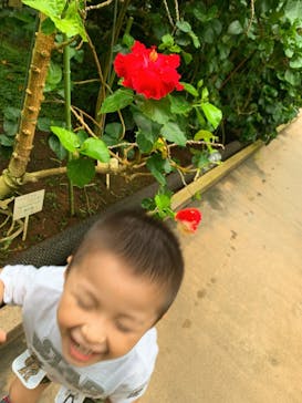 熱川バナナワニ園に投稿された画像（2020/7/30）