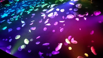 すみだ水族館に投稿された画像（2020/7/30）