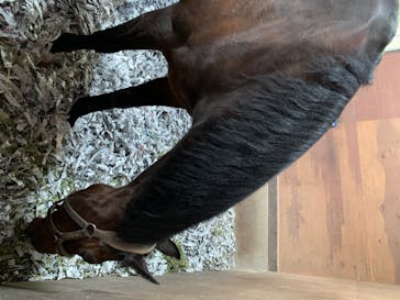 ノーザンホースパークに投稿された画像（2020/7/30）