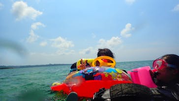 ダイビングショップ Sea Free（シーフリー）に投稿された画像（2020/7/30）