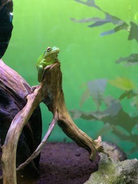 サンシャイン水族館に投稿された画像（2020/7/30）