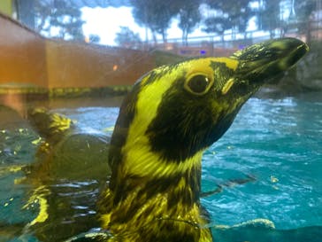 株式会社Gに投稿された画像（2020/7/30）