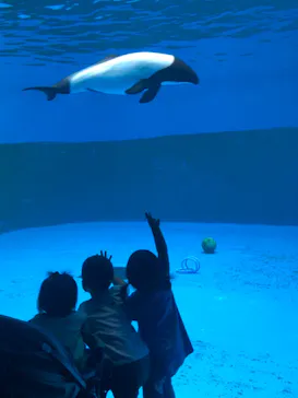 仙台うみの杜水族館に投稿された画像（2020/7/30）