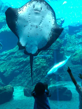 仙台うみの杜水族館に投稿された画像（2020/7/30）