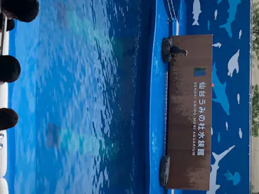 仙台うみの杜水族館に投稿された画像（2020/7/30）
