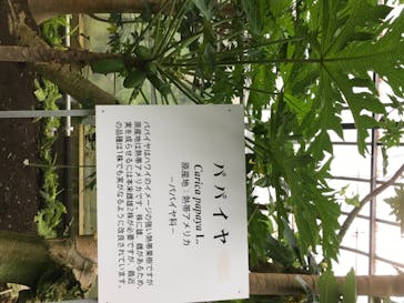 熱川バナナワニ園に投稿された画像（2020/7/30）