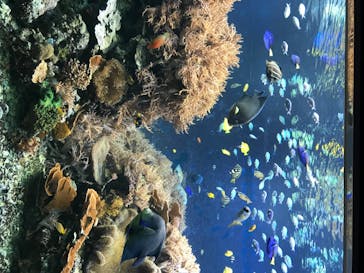 株式会社Gに投稿された画像（2020/7/30）