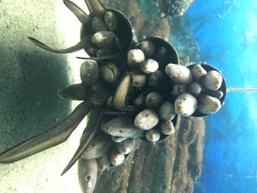 株式会社Gに投稿された画像（2020/7/30）