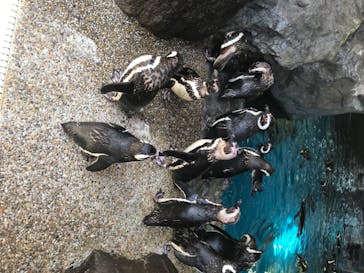 株式会社Gに投稿された画像（2020/7/30）