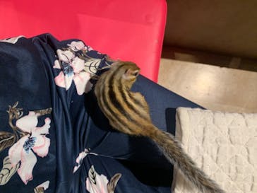 オービィ横浜に投稿された画像（2020/7/30）