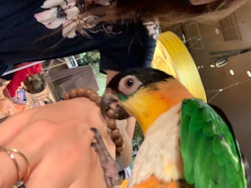 オービィ横浜に投稿された画像（2020/7/30）