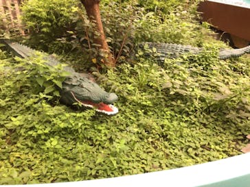 としまえんに投稿された画像（2020/7/30）